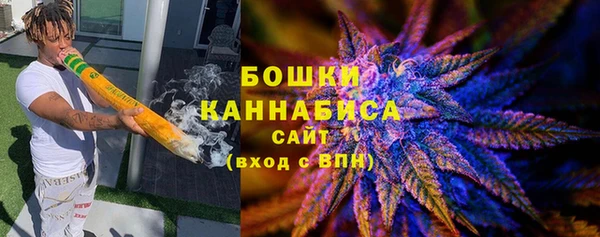 индика Вязники