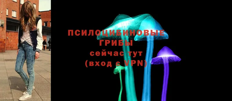 как найти закладки  Уварово  Псилоцибиновые грибы прущие грибы 